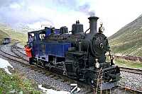 �X�C�X �ۑ��S�� �t���J���C�S�� 1���@�֎�